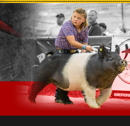 Hamby Haven Show Pigs
